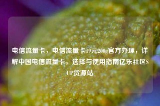 电信流量卡，电信流量卡19元200g官方办理，详解中国电信流量卡，选择与使用指南亿乐社区SUP货源站