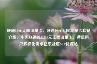 联通19元无限流量卡，联通19元无限流量卡套餐介绍，中国联通推出19元无限流量卡，满足用户多样化需求亿乐社区SUP货源站