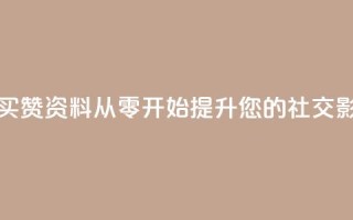 qq赞资料买 - 购买QQ赞资料：从零开始提升您的社交影响力!