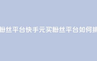 快手1块钱10000粉丝平台 - 快手1元买10000粉丝平台如何挑选！