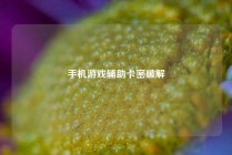 手机游戏辅助卡密破解