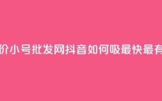 小红书低价小号批发网 - 抖音如何吸最快最有效