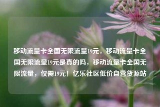 移动流量卡全国无限流量19元，移动流量卡全国无限流量19元是真的吗，移动流量卡全国无限流量，仅需19元！亿乐社区低价自营货源站