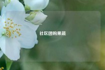 社区团购果蔬