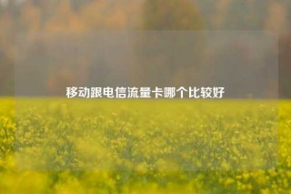 移动跟电信流量卡哪个比较好
