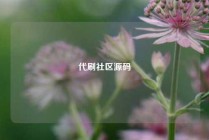 代刷社区源码