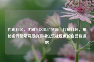 代刷社区，代刷社区低价货源，代刷社区，揭秘虚假繁荣背后的真相亿乐社区低价自营货源站
