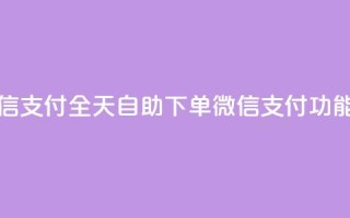 ks全天自助下单微信支付 - ks全天自助下单微信支付功能全面升级!
