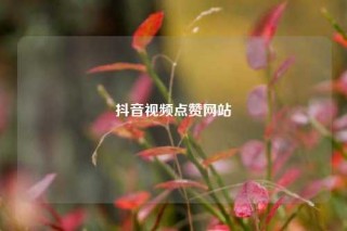 抖音视频点赞网站