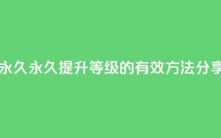 qqsvip怎么刷永久 - 永久提升QQSVIP等级的有效方法分享~