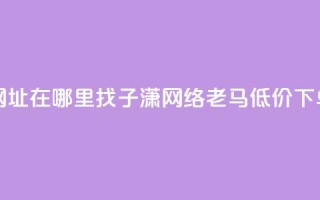 快手点网址在哪里找 - 子潇网络老马低价下单