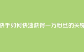 快手一万粉 - 快手：如何快速获得一万粉丝的关键方法~
