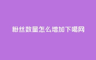 粉丝数量怎么增加