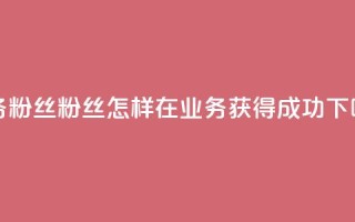 ks业务粉丝 - 粉丝怎样在KS业务获得成功!
