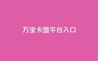 万宝卡盟平台入口,平台卡盟 平台卡盟 - 卡盟稳定 - ks业务免费下单平台最便宜