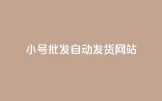 dy小号批发自动发货网站,ks小号发卡平台 - ks业务自助下单软件最低价 - 卡盟交易平台