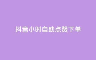 抖音24小时自助点赞下单 - 抖音全天自助点赞服务，轻松提升视频热度！。