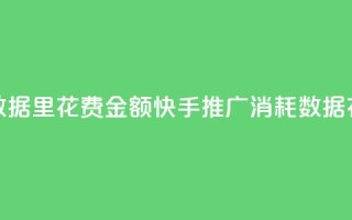 快手推广消耗数据里花费金额(快手推广消耗数据：花费金额大揭秘)