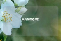 未找到医疗保险