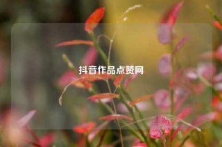 抖音作品点赞网