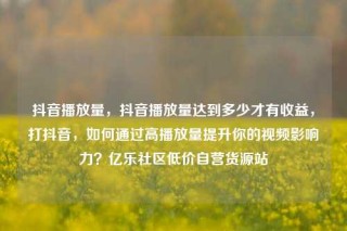 抖音播放量，抖音播放量达到多少才有收益，打抖音，如何通过高播放量提升你的视频影响力？亿乐社区低价自营货源站