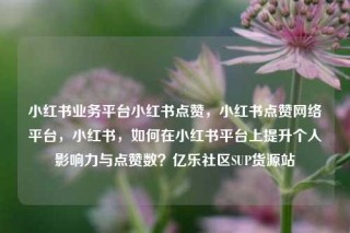 小红书业务平台小红书点赞，小红书点赞网络平台，小红书，如何在小红书平台上提升个人影响力与点赞数？亿乐社区SUP货源站