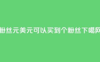 ks粉丝1元100 - 1美元可以买到100个KS粉丝!