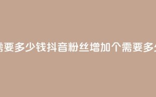 抖音涨100粉丝需要多少钱 - 抖音粉丝增加100个需要多少费用~