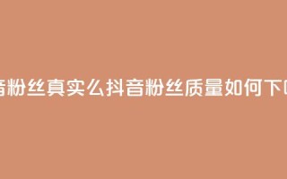 抖音粉丝真实么 - 抖音粉丝质量如何？~
