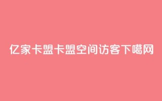 亿家卡盟 - 卡盟qq空间访客