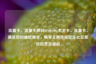 流量卡，流量卡移动19元200g大王卡，流量卡，满足您的通信需求，畅享无限连接亿乐社区低价自营货源站