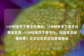 24小时快手下单平台便宜，24小时快手下单平台便宜免费，24小时高效下单平台，让你享受超值优惠！亿乐社区低价自营货源站