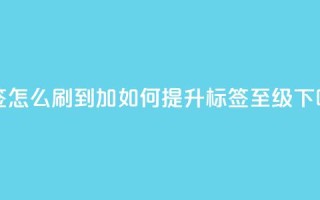 qq标签怎么刷到99加 - 如何提升QQ标签至99级!