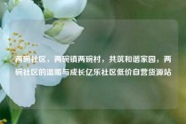 两碗社区，两碗镇两碗村，共筑和谐家园，两碗社区的温暖与成长亿乐社区低价自营货源站