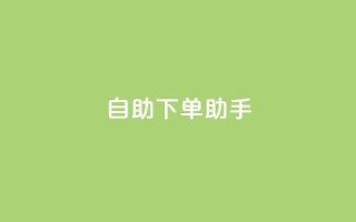 自助下单助手,卡盟自动发卡网 - 抖音作品点赞自助 - dy自助下单网