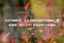 小红书刷粉丝，小红书刷粉丝技巧大揭秘！轻松涨粉，你get了吗？亿乐社区SUP货源站