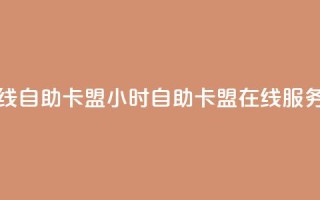 24小时在线自助卡盟(24小时自助卡盟在线服务)