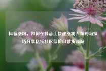 抖音涨粉，如何在抖音上快速涨粉？策略与技巧分享亿乐社区低价自营货源站