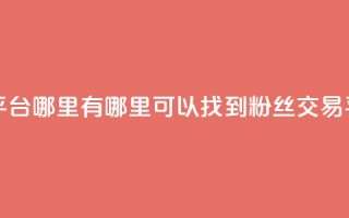 粉丝交易平台哪里有 - 哪里可以找到粉丝交易平台？~