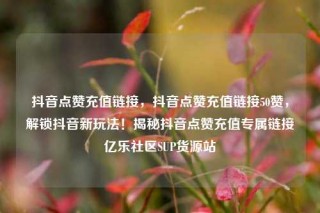 抖音点赞充值链接，抖音点赞充值链接50赞，解锁抖音新玩法！揭秘抖音点赞充值专属链接亿乐社区SUP货源站