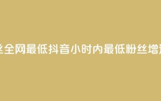 抖音24小时粉丝全网最低 - 抖音24小时内最低粉丝增速揭秘！