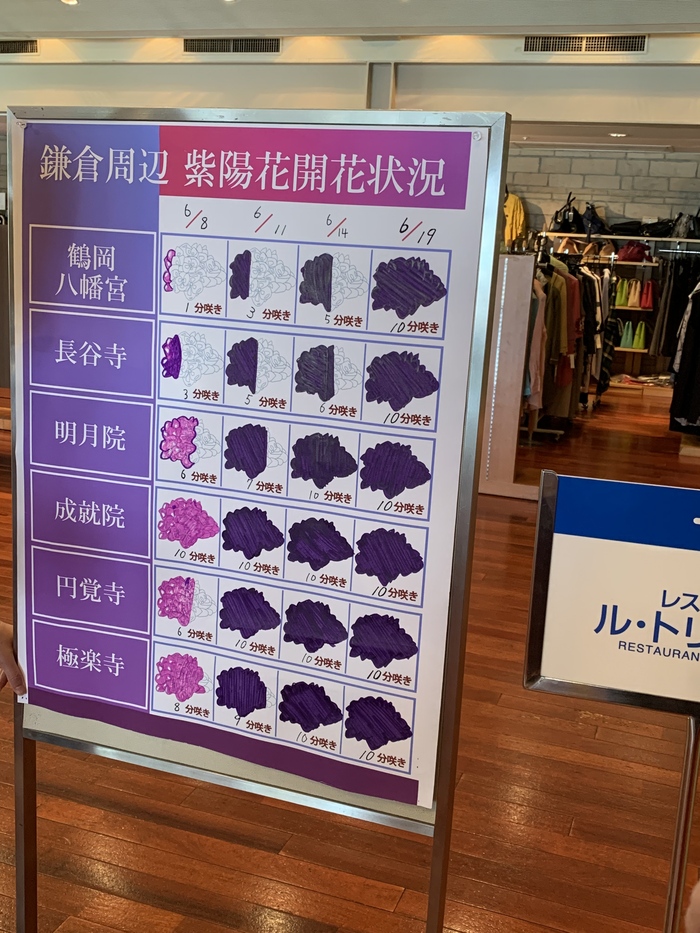 花开之处，便是故地  第31张