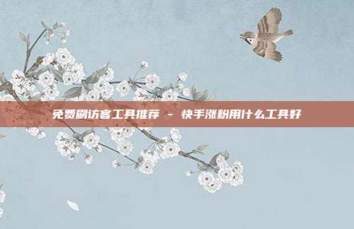 免费刷访客工具推荐 - 快手涨粉用什么工具好  第1张