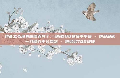抖音怎么没有微信支付了,一块钱100赞快手平台 - 拼多多砍一刀助力平台网站 拼多多700块钱  第1张