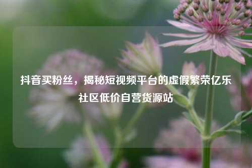 抖音买粉丝，揭秘短视频平台的虚假繁荣亿乐社区低价自营货源站  第1张