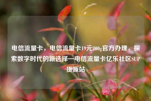 电信流量卡，电信流量卡19元200g官方办理，探索数字时代的新选择—电信流量卡亿乐社区SUP货源站  第1张