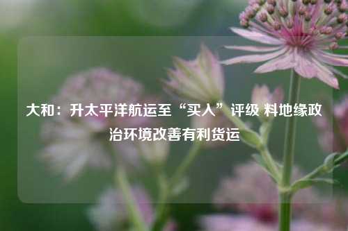 大和：升太平洋航运至“买入”评级 料地缘政治环境改善有利货运  第1张
