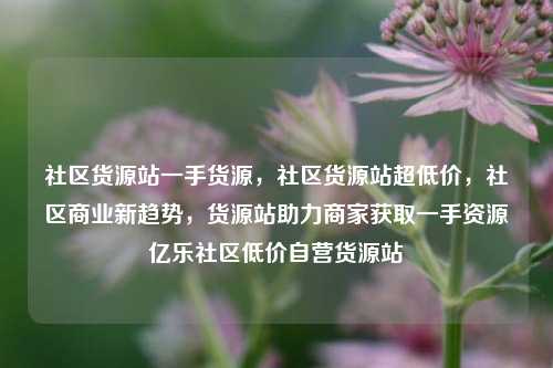 社区货源站一手货源，社区货源站超低价，社区商业新趋势，货源站助力商家获取一手资源亿乐社区低价自营货源站  第1张