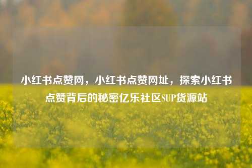 小红书点赞网，小红书点赞网址，探索小红书点赞背后的秘密亿乐社区SUP货源站  第1张