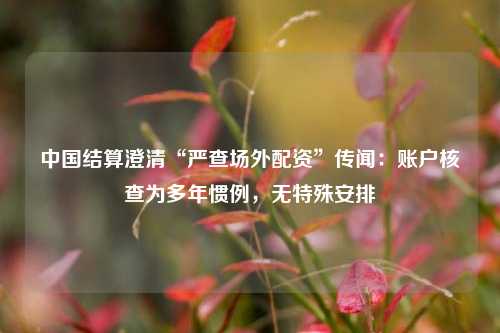 中国结算澄清“严查场外配资”传闻：账户核查为多年惯例，无特殊安排  第1张
